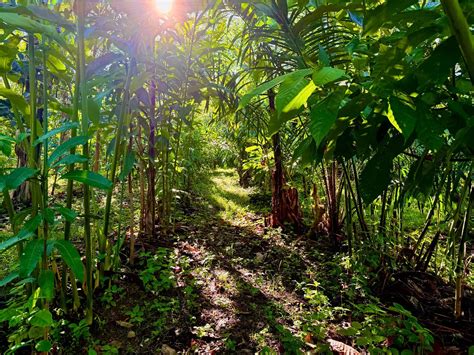 Educational Farm Visit Sabah | HAK’s Learning Farm Tours