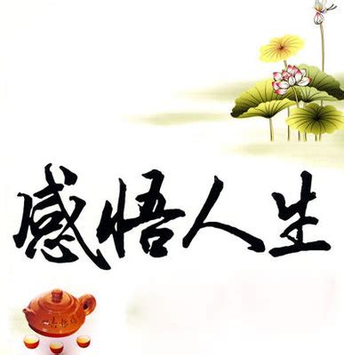 人生最大的领悟是什么风雨人生慢慢领悟2022已更新今日推荐