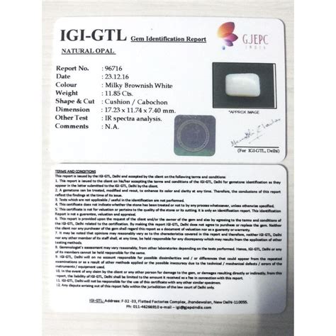 11.85/CT Natural Opal with Govt. Lab Certificate (610) | Khanna Gems