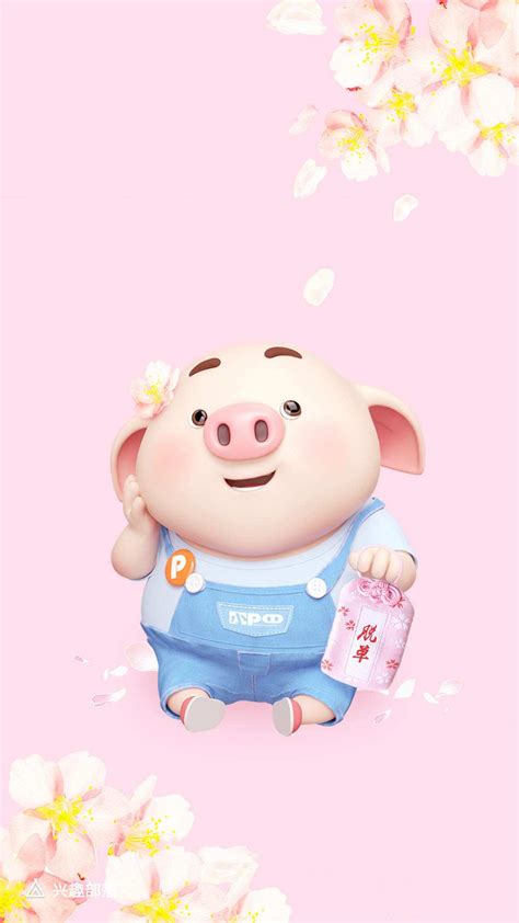 猪2019年封面插画图片_动物插画_编号9826277_红动中国