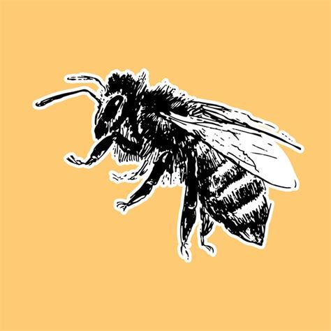 Page 4 | Honey Bee Scientific Illustration Images - Free Download on ...