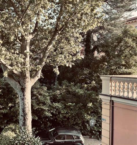 La Jolla cafe | Il Giardino di Lilli - Lilli's | About Us | San Diego, CA