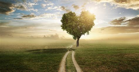 Crest Lawn Funeral Home-Cremation Center & Memorial Cemetery