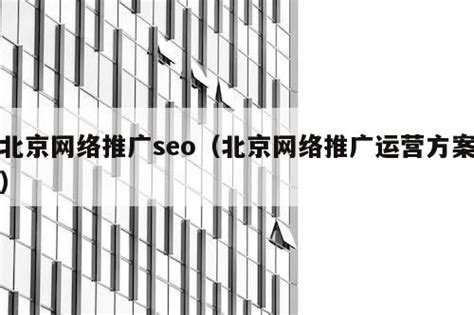 北京SEO网站优化外包_全网整合营销推广公司-仕言网络