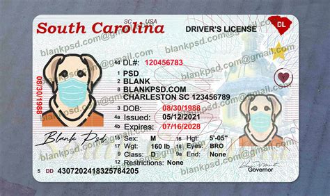 Blank Arkansas Drivers License Template New V2 - Blank PSD