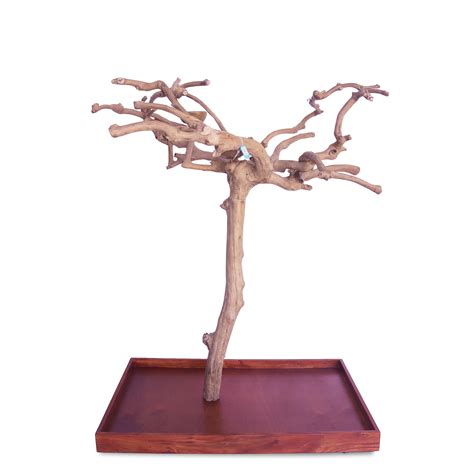 PYT-AE250M-B5517 - 38"x24"x57" Medium Java Wood Tree Boxed