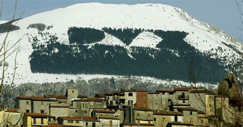Italy’s ‘fascist forest’? A fire that ravaged trees planted as homage ...