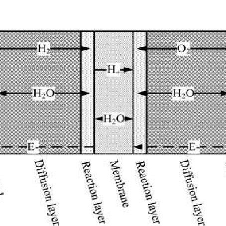 Fuel Cell Structure 的图像结果