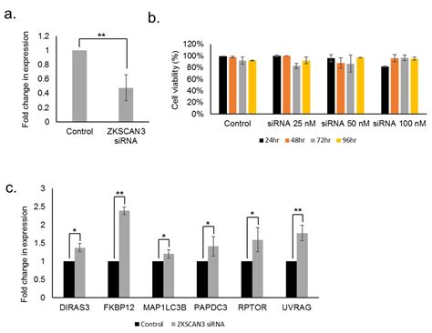 Role of the Transcriptional Repressor Zinc Finger with KRAB and SCAN ...