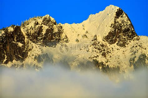 华盛顿 的图像结果