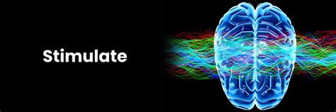 Cómo estimular funciones clave del cuerpo