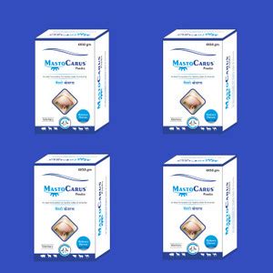 Mastocarus Powder For The Treatment of Mastitis and Udder Health ...