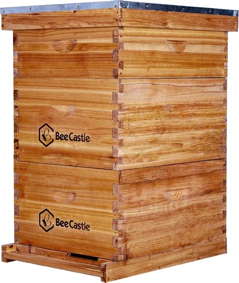BeeCastle 10 Frame Bee Hive Starter Kit with Coated Beehives, India | Ubuy