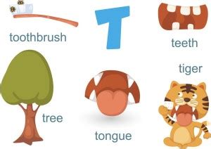 alphabet t for |poster for kids|alphabest posters|number posters|kids ...