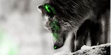 cool green wolf wallpaper green wolf by runkaelalmarota on deviantart cool green wolf wallpaper green wolf by runkaelalmarota on deviantart