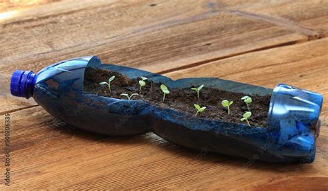 Reuse Examples 的图像结果