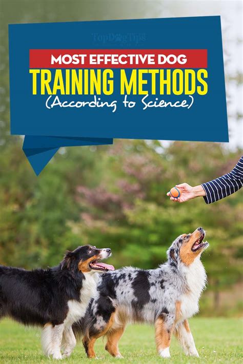 Image result for Dog training Methods
