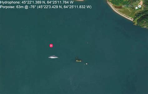 Harbour Porpoise Map