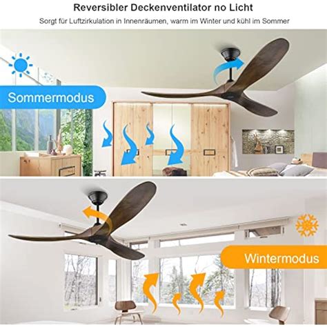 PLPUVO 52 Inch Ceiling Fan without Light, Modern Ceiling India | Ubuy