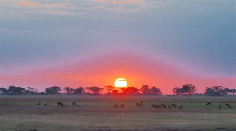 BUSANGA PLAINS CAMP - 2025 Lodge Reviews & Photos (Kafue National Park ...