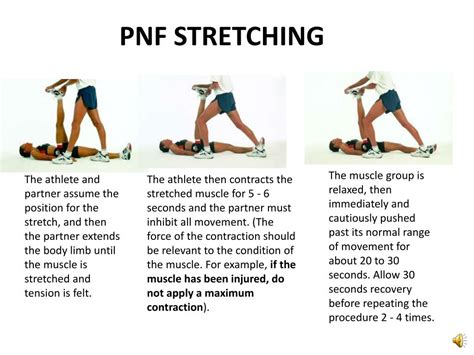 Image result for Static Stretch Examples