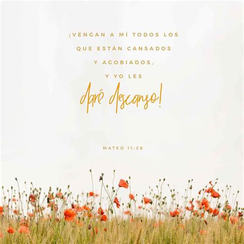 Solo Dios satisface nuestra hambre espiritual. "»Vengan a mí todos ...