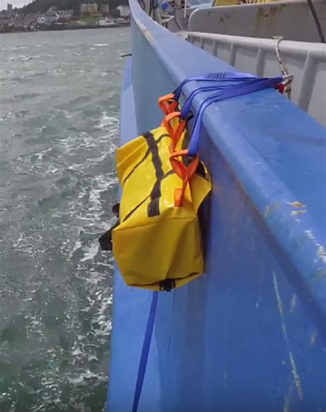 Waterbug Self-Rescue Ladder 的图像结果