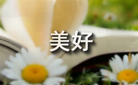 《那年深夏》读后感：生命中最美好的相遇作文600字