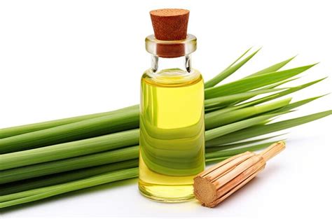 Benefits Of Lemon Grass Oil: லெமன் கிராஸ் எண்ணெயில் அட்டகாசமான நன்மைகள் ...