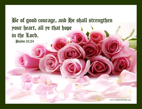 Scripture Verse Photo Gallery