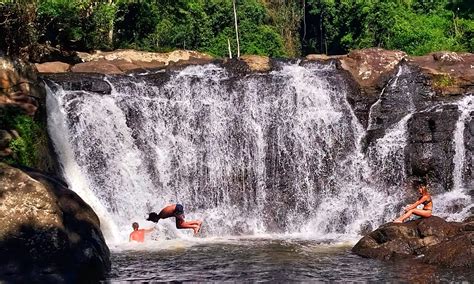 Nature Swim 的图像结果