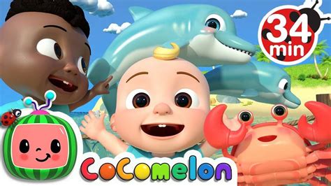 English Nursery Rhymes: Kids Video Song in English 'Sea Animal'