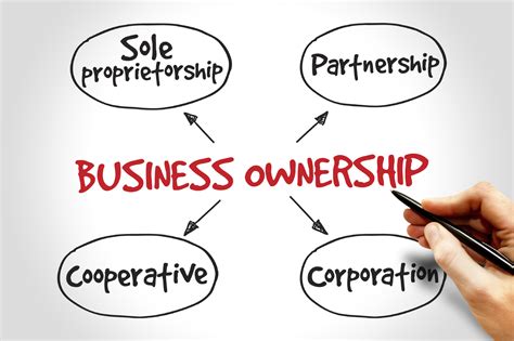 Ownership 的图像结果