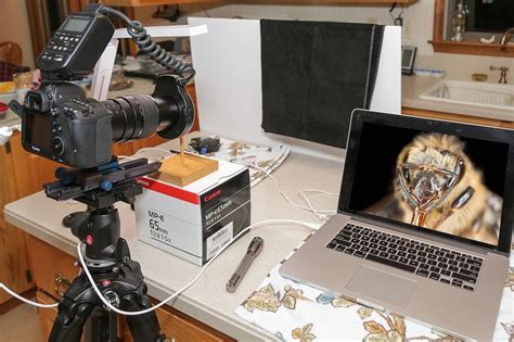 Macro Setup Tutorial 的图像结果