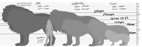 Wolf Size Chart For Dogs at Dominic Johnson blog
