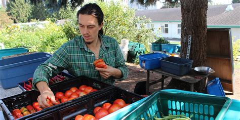 Local Farming 的图像结果