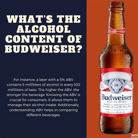 What's the Alcohol Content of Budweiser? - History Visit