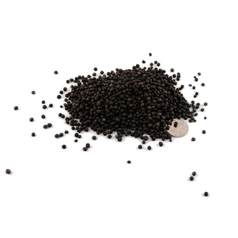 CLUB BOLLYWOOD® Natural Planted Aquarium Substrate Aquarium Grass Seeds ...