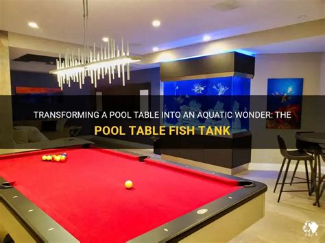 Image result for Fish Tank Pool Table