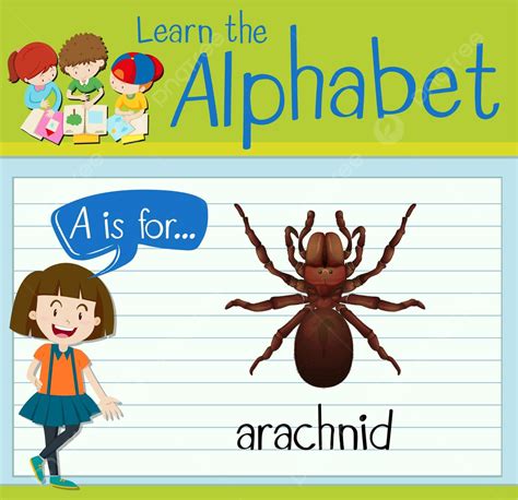 Flashcard Letter A Is For Arachnid A Drawing Letters Vector, A, Drawing ...