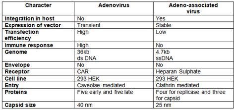 14.2 Tropism of adeno-associated virus
