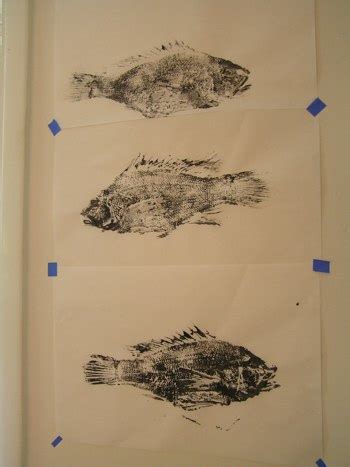 日本的自然印刷—鱼拓知识及鱼拓制作工艺╭★肉丁网