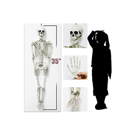 Buy Halloween Skeletons Decorations Full Body 35''/90CM Skeletons for ...