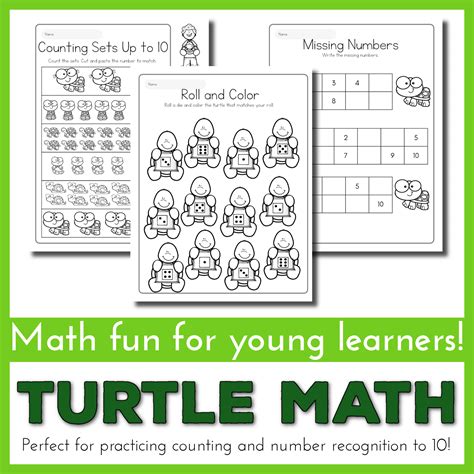 Image result for Turtle Math Open