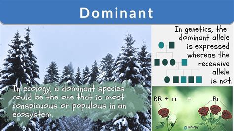 Examples of Dominant Traits in Genetics and Nature