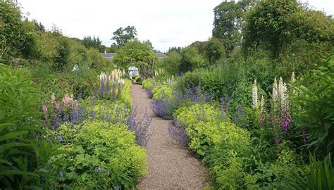 CAROLSIDE GARDENS (2026) All You SHOULD Know Before Going (with Photos)