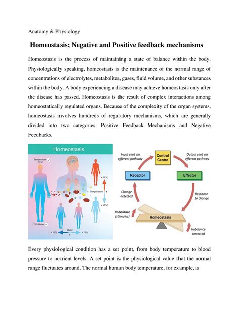 Homeostasis; Negative and Positive feedback mechanisms - Anatomy ...