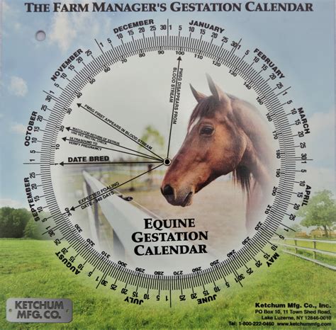 Animal Gestation calendar