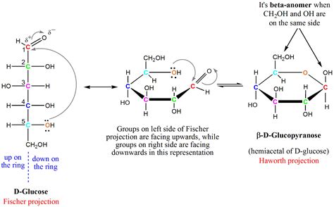 Glucose Ring Structure Formation