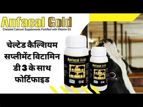 Animal Nutrition Supplements - Veterinary Vitamin Supplement & Tonic ...